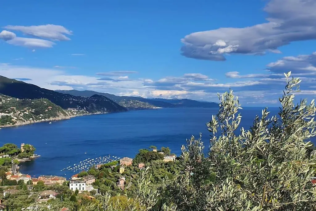 Caraluna Vacanze - Rapallo